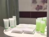 Luxury Suite