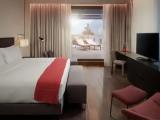 Presidential Rooftop Suite