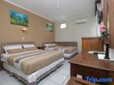Standard Twin Family room