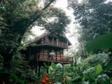 Duplex Cottage