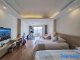 Standard Twin room with balcony