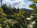 Deluxe Double room with balcony and with garden view