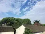 Run of House