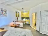 Economy Double Studio with garden view