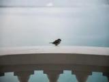 Deluxe Double room with balcony and with lake view