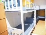 Bed in Dorm