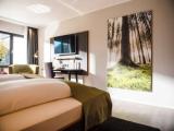 2 Bedrooms Deluxe Triple room