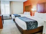 Quadruple Suite