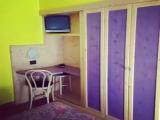 Standard Double room with garden view