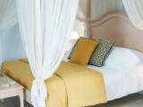 Single Junior Suite