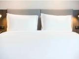 Premium Double room with garden view