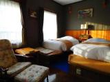 Standard Double room with lake view
