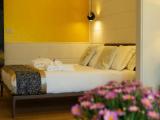 Superior Double room with Patio