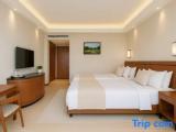 Luxury Twin room