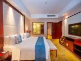 Executive Double Suite with city view