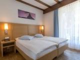 Standard Double room with mountain view