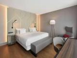 Premium Terrace Double room with view