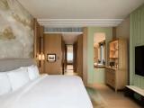 Standard Double Club room with park view