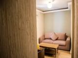 1 Bedroom Executive Basement Suite