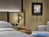 1 Bedroom Double Suite with city view
