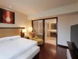 1 Bedroom Suite with city view