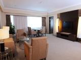 Executive Double Club Suite with city view