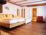 Premium room with mountain view