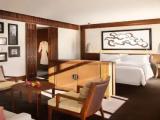 1 Bedroom Junior Suite