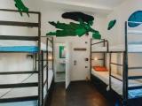 Bed in Dorm