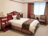 Superior room with city view