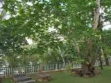 4 Bedrooms Deluxe room with lake view