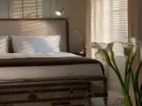 Double Shepley Suite