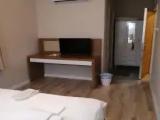 Standard Double room with garden view