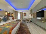Superior Standard room with land view