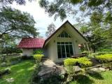 Villa with garden view