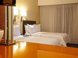 Superior room with view