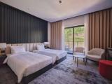 Deluxe Double room with balcony and with mountain view