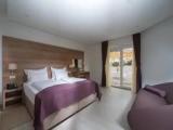 Standard Double room with balcony and with mountain view