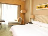 1 Bedroom Club Suite with city view