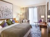 Standard Junior Suite