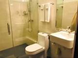 Superior room with city view
