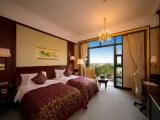 Standard room with river view