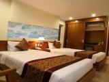 Superior Twin room with city view