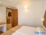 Premium Apartment