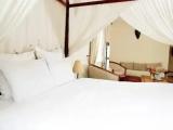 Triple Suite