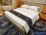 Business Double Suite