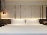1 Bedroom Junior Suite