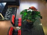 Double Duplex Apartment