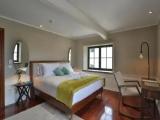 Deluxe Suite with city view