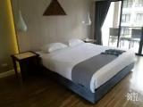 Deluxe Double room with balcony and with lake view